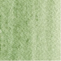 Maimeri Blu Watercolour 12Ml Green Earth (Series 1)