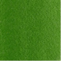 Maimeri Blu Watercolour 12Ml Sap Green (Series 1)