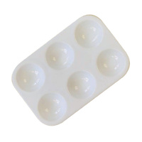 Mini Plastic Palette 6 Well Heavy Duty, Pure White Plastic 6 Well Tray