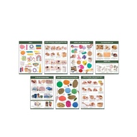 Modelling Skills &amp; Technique Charts Pkt Of 7