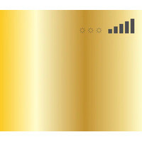 Montana Water Based Spray Paint 400Ml Frame Gold