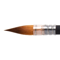 Princeton Aqua Elite Synthetic Short Handle Quill Size 6