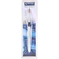Princeton Aqua Elite Synthetic Short Handle Travel Round Size 10