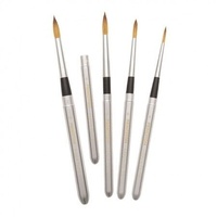 Princeton Aqua Elite Synthetic Short Handle Travel Round 4Pc Set