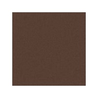 Art Spectrum Colourfix Original Pastel Primer 250Ml Burnt Umber