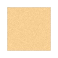 Art Spectrum Colourfix Original Pastel Primer 250Ml Rich Beige