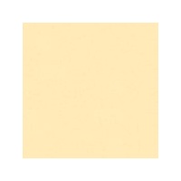 Art Spectrum Colourfix Original Pastel Primer 250Ml Sand