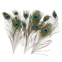 Peacock Feathers 30Cm Long 5 Per Pack