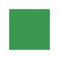 PERMAPLASTIK FLAT ACRYLIC BACKDROP PAINT GROUP 3 1L BRIGHT GREEN (EMERALD)