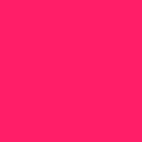 PERMAPLASTIK FLAT ACRYLIC BACKDROP FLUORESCENT PAINT GROUP 5 1L FLUORESCENT MAGENTA