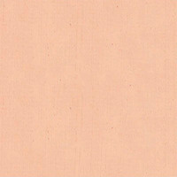 Art Prism Student Oil Colour 150Ml Tube Flesh Tint