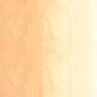 Art Prism Student Oil Colour 150Ml Tube Naples Yellow