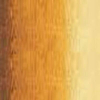 Art Prism Student Oil Colour 150Ml Tube Raw Sienna