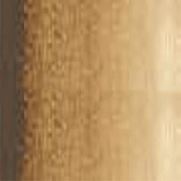 Art Prism Student Oil Colour 150Ml Tube Raw Umber