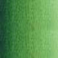 Art Prism Student Oil Colour 150Ml Tube Sap Green