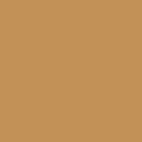Prisma Favini Pastel Paper 220Gsm 500 X 700Mm #10 Tobacco / Cappuccino Single Sheet