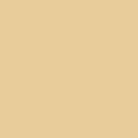 Prisma Favini Pastel Paper 220Gsm 500 X 700Mm #12 Camoscio / Chamois Single Sheet