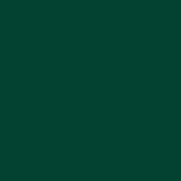 Prisma Favini Pastel Paper 220Gsm 500 X 700Mm #37 Verde / Green Single Sheet