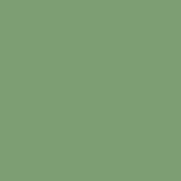 Prisma Favini Pastel Paper 220Gsm 500 X 700Mm #18 Pistacchio / Pistachio Single Sheet