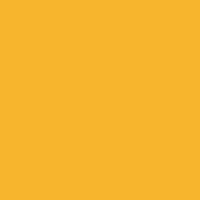 Prisma Favini Pastel Paper 220Gsm 500 X 700Mm #2 Giallo / Golden Yellow Single Sheet