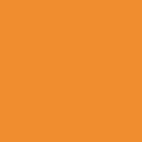 Prisma Favini Pastel Paper 220Gsm 500 X 700Mm #03 Arancio / Mandarin Single Sheet