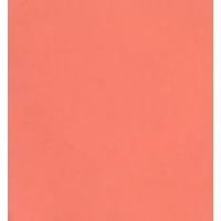 Prisma Favini Pastel Paper 220Gsm 500 X 700Mm #90 Salmone / Salmon Single Sheet