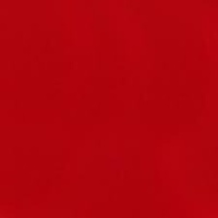 Prisma Favini Pastel Paper 220Gsm 500 X 700Mm #5 Rubino / Ruby Single Sheet