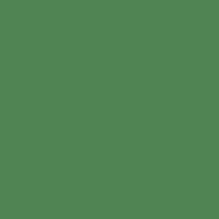 Reeves Oil Paint 50Ml Chrome Oxide