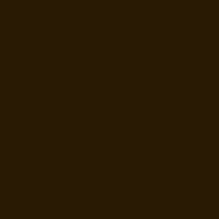 Reeves Oil Paint 50Ml Raw Umber