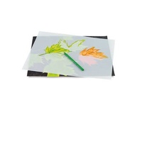 Yupo Paper Transparent 153Gsm 625X 965 mm.