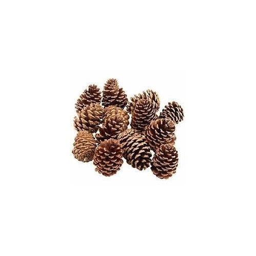 Pine Cones 2-4Cm Bag Of 190 Grams