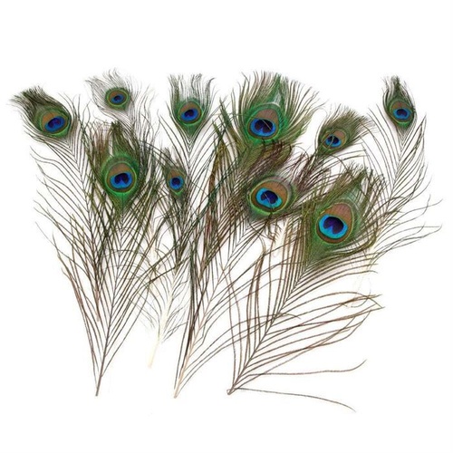 Peacock Feathers 30Cm Long 5 Per Pack