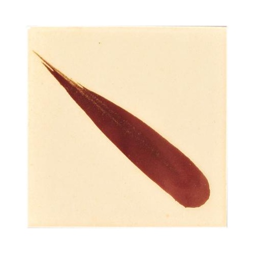 Cesco Brush-On Underglaze Oxide 500Ml Series 1 Ferric Oxide